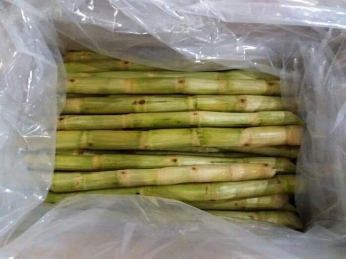 Frozen sugarcane